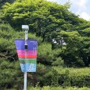 산꼭대기미술학원 - 강릉시 입암로 33 | 서울시립미술관 유영국 '산은 내 안에 있다' 전시 관람 후기 (아이와 함께한 추상화 감상 후기와 팁)