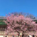 (주)신화공인중개사사무소 이미지