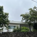 봉성소락 | [제주/애월/독채추천] 감성 넘치는 자쿠지 있는 내돈내산 제주 숙소; 봉성소락