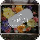 메이앤달링플라워 | [대전] 30대 남자친구 선물 추천 / 플라워박스 주문 후기 :: 메이앤달링