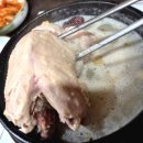 삼성한방삼계탕 | [삼성/봉은사]🥢삼성한방삼계탕 후기 / 삼계탕 먹고 몸보신 제대로!