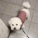 세희네;일 | 2026
