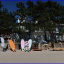 설리어촌체험마을 이미지