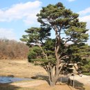 권균묘역 이미지