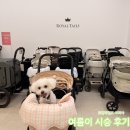 로얄펫동물병원 | 펫랜드에서 로얄테일즈 아리아 유모차 직접 시승해 본 후기