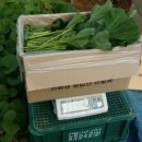 미리농장 이미지