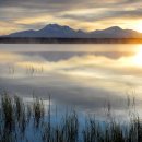 관용농장 이미지