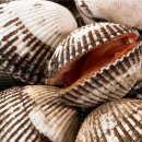 벌교택배 이미지