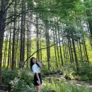 자생원 | 경기도 오산 &lt;물향기수목원&gt; 피크닉 주차 입장료 돗자리 후기! 야외산책로가 인상적이였던 곳