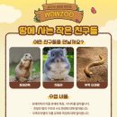 블루마루 이미지