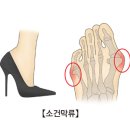 바렌티노