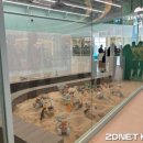 스타 반려견 교육센터 이미지