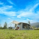 레오오토 이미지