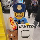 모다아울렛 이미지