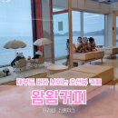 커피바다 | 대부도 바다 보이는 오션뷰 카페 왐왐커피 통창 바다뷰와 루프탑 주차 후기