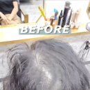 삶에 자연을 채우다 이미지