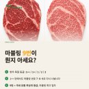 엄마아빠정육점 | 이문동 명품 정육점 반찬, 밀키트까지 저녁밥상 책임지는 '가장정육점'