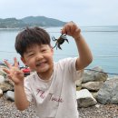 나로힐링캠핑장 이미지