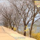 성환서울의원 이미지