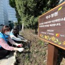 덕수중학교