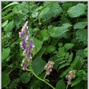 탑동대교 옆 이미지