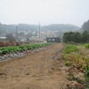 부2리마을회관 이미지