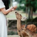 나라민박 이미지