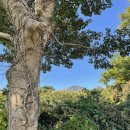 힐링마트 | [제주10일살기] (5일차) - 화순금모래해변, 스팅그레이, 안덕 하나로마트