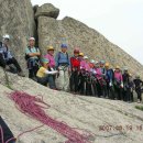 비둘기길 이미지