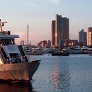 시어스팜 이미지