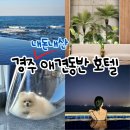 엘라포니시 풀빌라&호텔 | 경주 강아지랑 가볼만한 곳 애견동반 숙소 엘라포니시 호텔 내돈내산 솔직후기