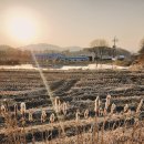 감곡생활체육공원 이미지