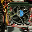 Lion PC방 이미지