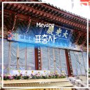 밀양여행)🏯 밀양 표충사 방문 후기 | 역사와 자연이 공존하는 사명대사의 성지