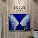 카페아는언니 | [곡반정동] 아는 사람만 간다는 찐 아지트 '카페 익투스' 브런치 후기