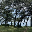 비진보건진료소 이미지