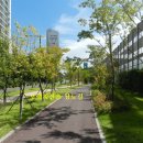 양덕동349 이미지