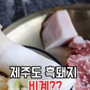 제주성산**