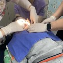 삼계뉴욕치과병원 이미지