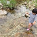 테이스트캠프 이미지