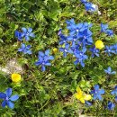 아하유한회사 이미지