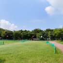 안산신길파크골프장 예약방법·이용요금·주차 안내 — 출발 전 확인 필수