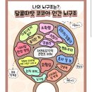 호비콘서트 가기 전 일상털기