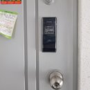 여좌남로 이미지