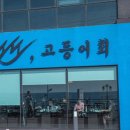 고등어 화장실 이미지