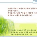 일일예화말씀묵상 2024년 11월 7일 (금) - 카멜레온 이미지