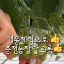 알로만농장 이미지