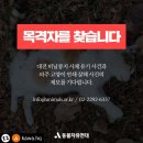 파주, 대전 고양이 살해사건 목격자를 찾습니다 (사체사진 주의) 이미지