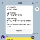 벨루스독 이미지