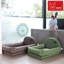 자미애견 이미지